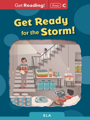 cover image of Get Ready for the Storm!